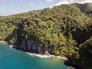 Costa Rica amplia em 27 vezes área protegida na Ilha dos Cocos